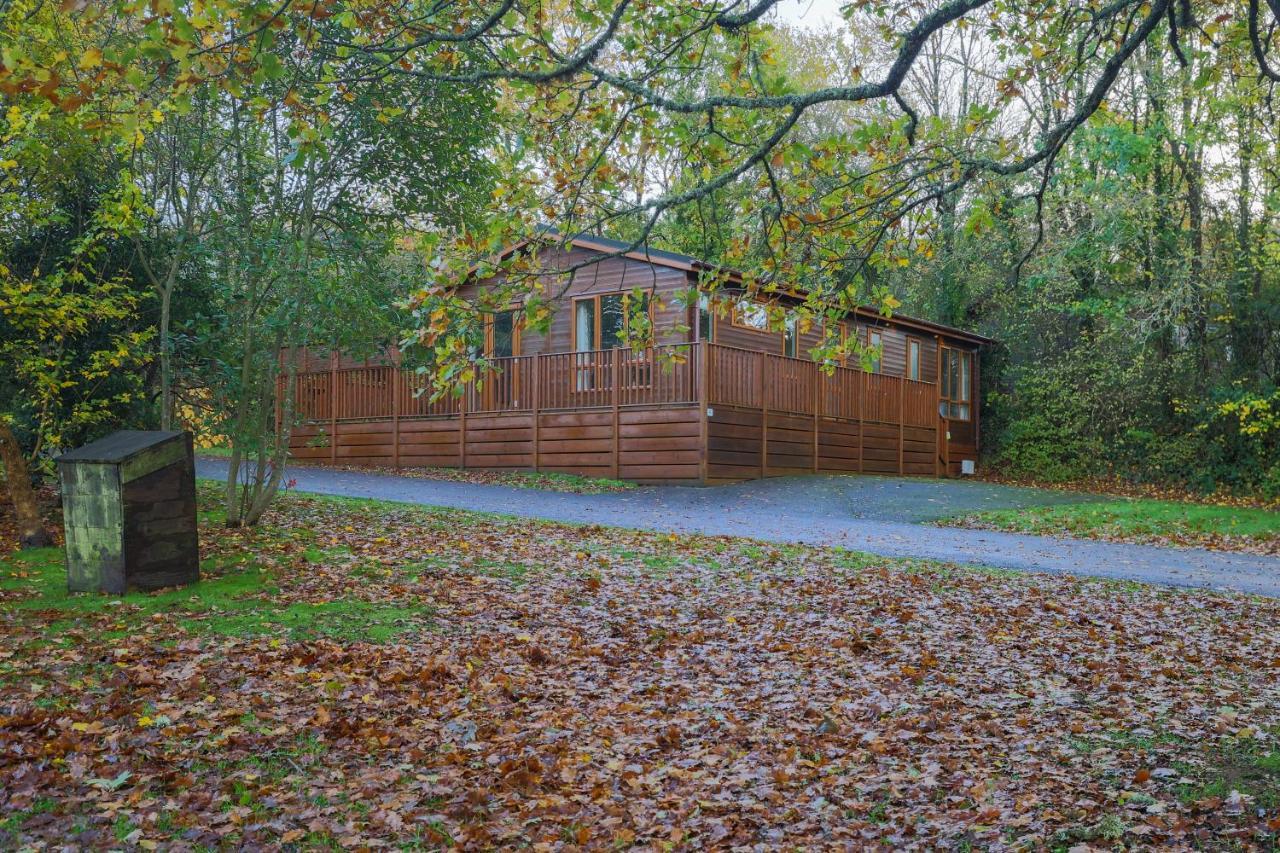 Charming Copse Corner Lodge - Spa Resort - Devon Chudleigh Екстериор снимка